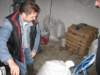 Photo Number 3